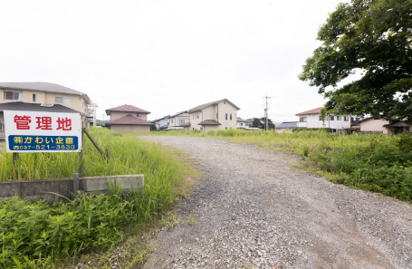 写真：管理地の様子